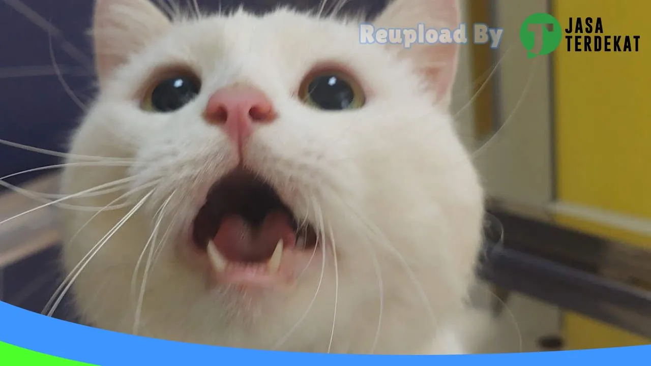 Gambar Gia PetCare – Praktek Dokter Hewan, PetShop, Grooming dan Penitipan Hewan Kota Pacitan di Pacitan, Jawa Timur ke 1