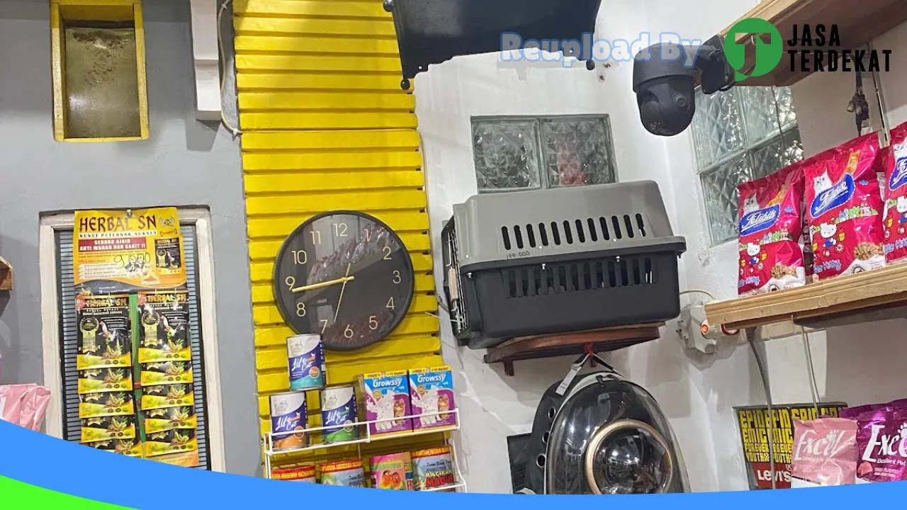 Gambar Owy pet shop di Hulu Sungai Selatan, Kalimantan Selatan ke 2