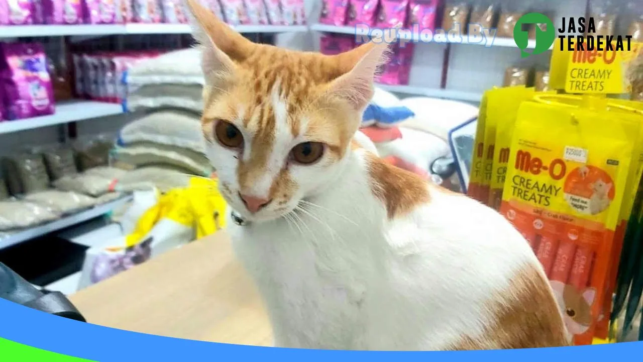 Gambar QITMIR PETSHOP MASARAN di Sragen, Jawa Tengah ke 1