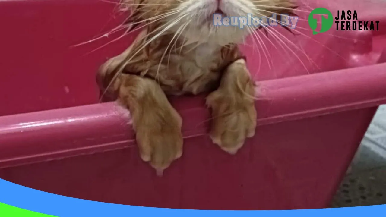 Gambar Reza – Chipaws Petshop Muara Enim di Muara Enim, Sumatera Selatan ke 1