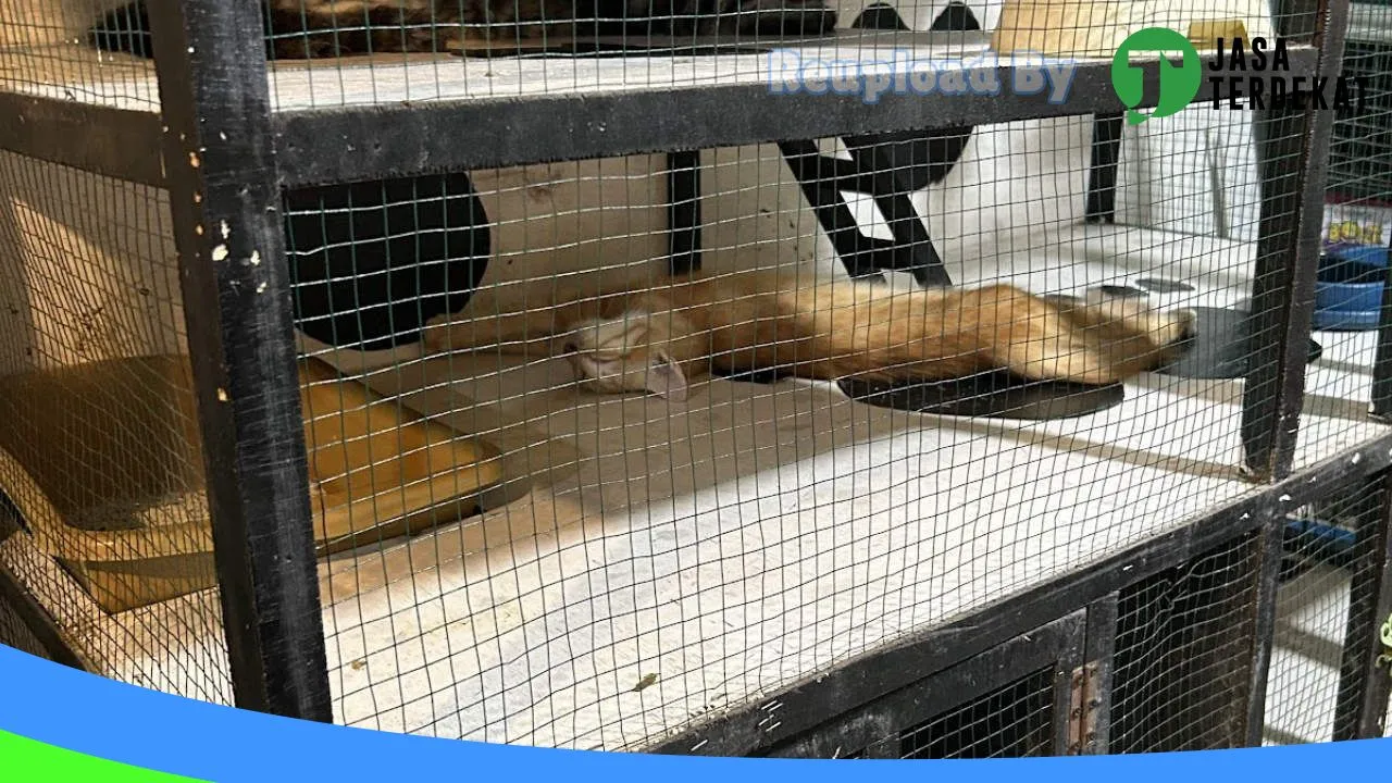 Gambar Royald Petshop di Medan, Sumatera Utara ke 3