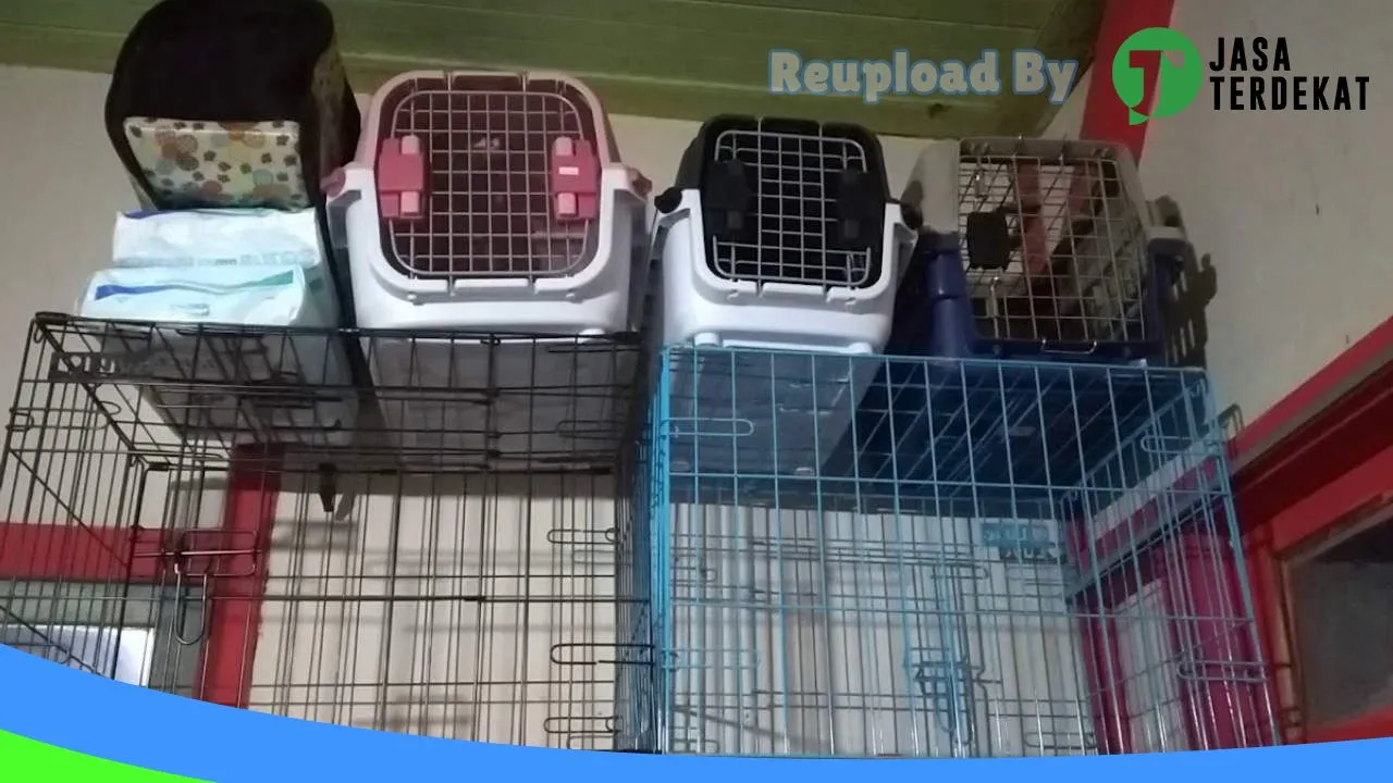 Gambar PET SHOP CEMARA di Tanah Datar, Sumatera Barat ke 1