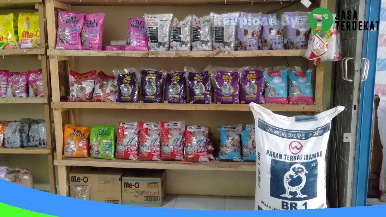 Gambar Caca petshop batulicin di Tanah Bumbu, Kalimantan Selatan ke 1