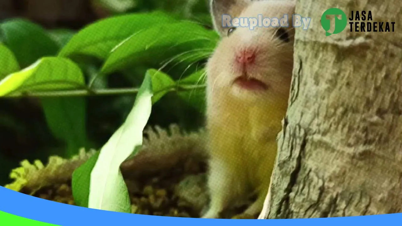 Gambar FARM HAMSTER PAMEKASAN di Pamekasan, Jawa Timur ke 1