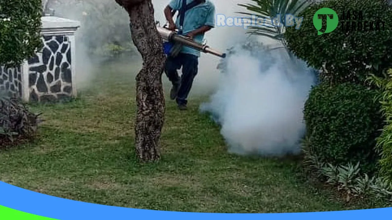 Gambar Pest control bali di Karangasem, Bali ke 3