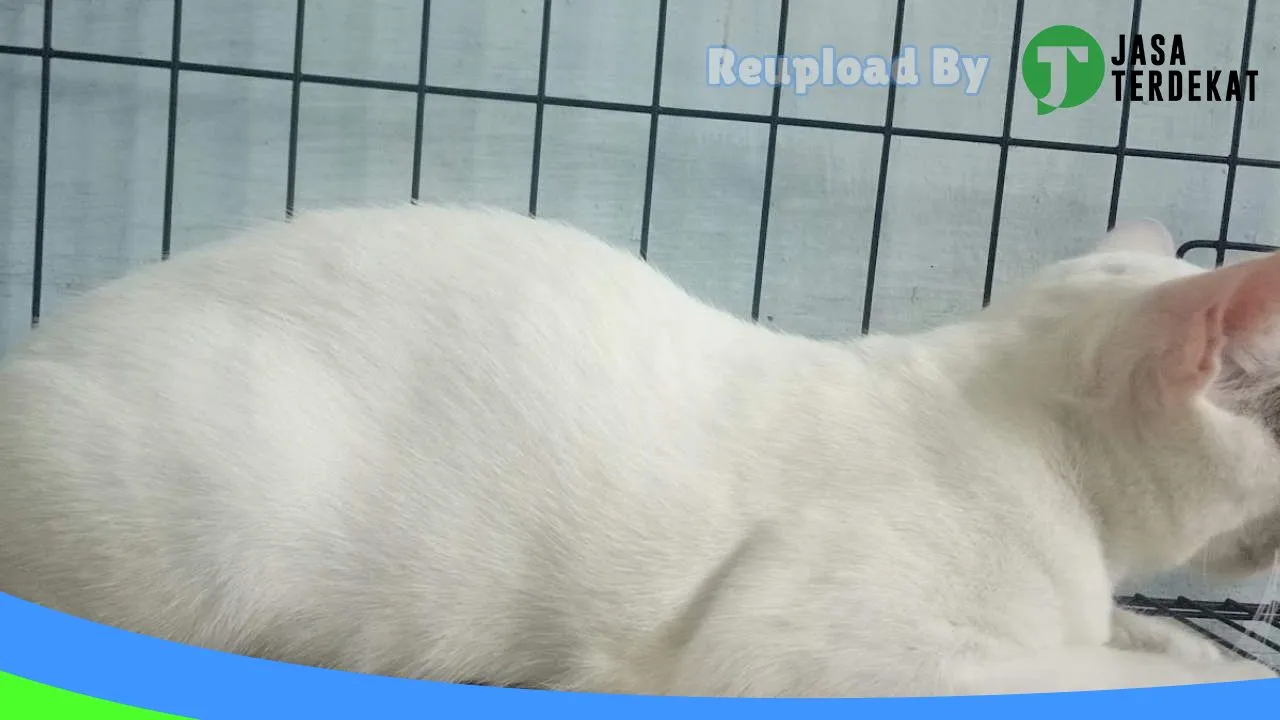 Gambar Permata Pet Care Gresik (Dokter Hewan & Petshop Lengkap) di Gresik, Jawa Timur ke 4