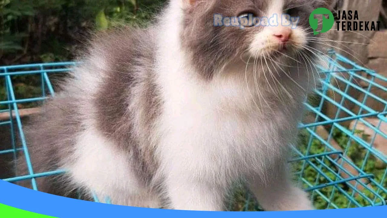 Gambar RORI’S PETSHOP di Kota Blitar, Jawa Timur ke 1