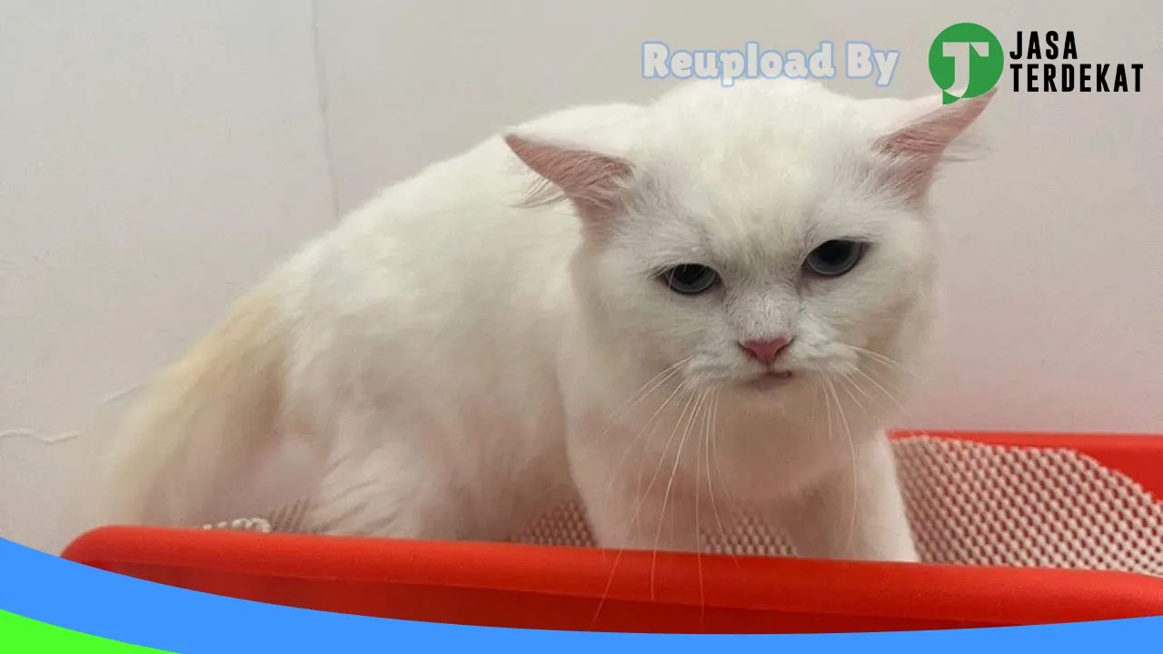 Gambar Savanna Vet Care & Petshop 2 di Timor Tengah Selatan, Nusa Tenggara Timur ke 2