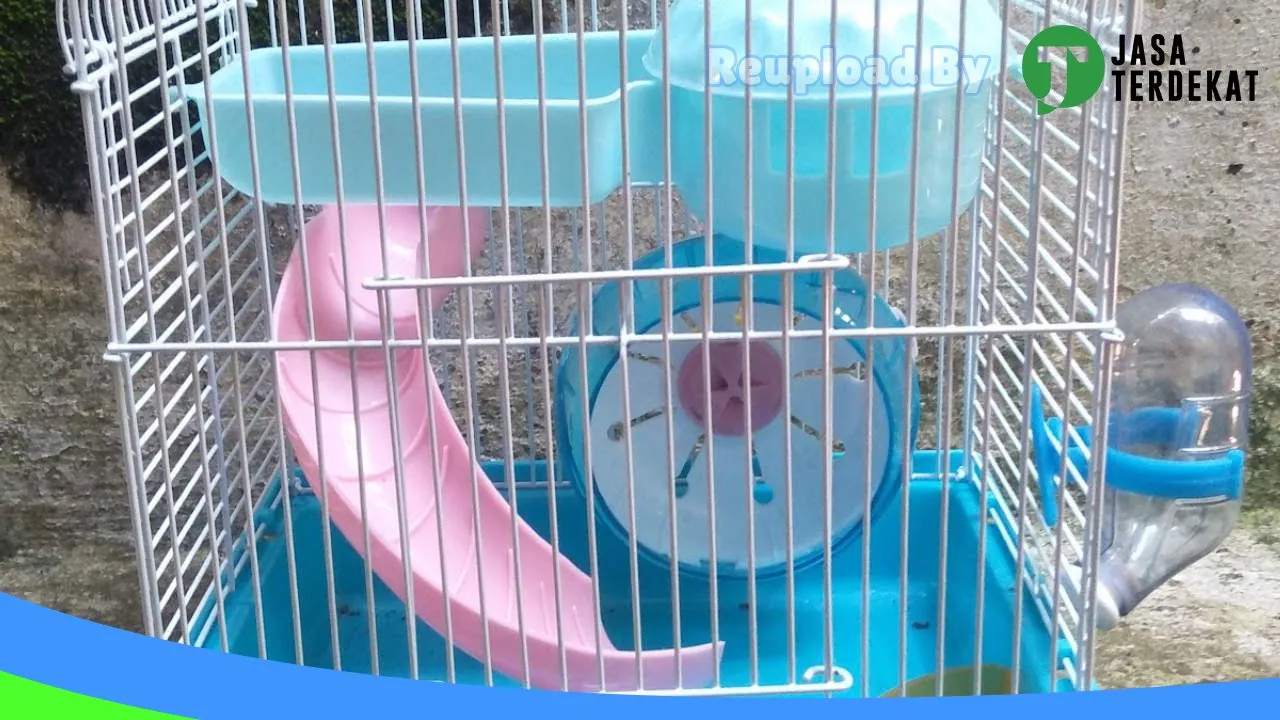 Gambar “TERA” Hamsters dan motor second di Magetan, Jawa Timur ke 1