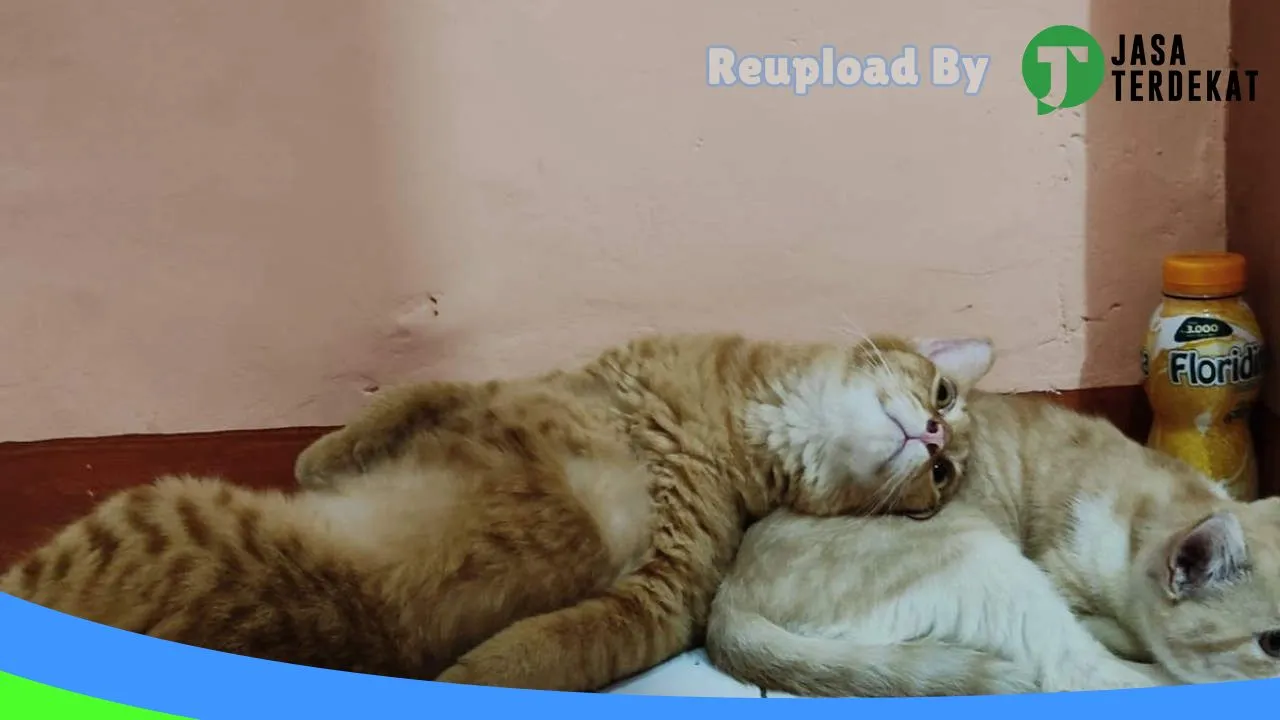 Gambar MA’AZZA PETSHOP di Supiori, Papua ke 4