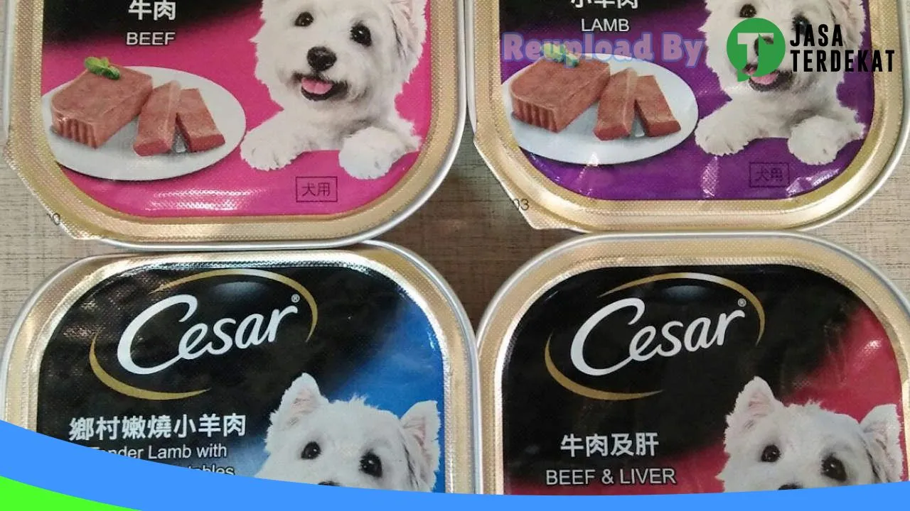 Gambar PET LOVERS di Tegal, Jawa Tengah ke 4