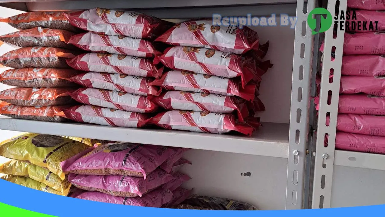 Gambar Geocathouse Petshop & Cattery di Kepulauan Seribu, DKI Jakarta ke 3