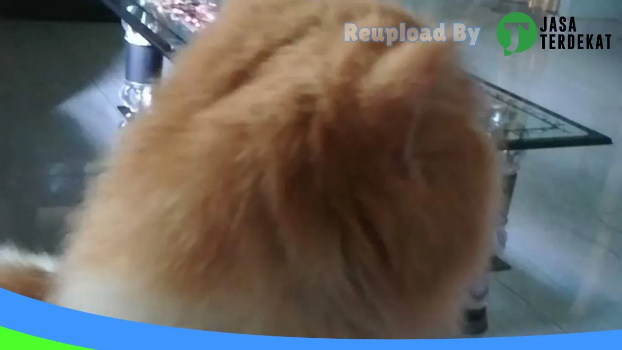 Gambar FRESH PETSHOP di Luwu, Sulawesi Selatan ke 5