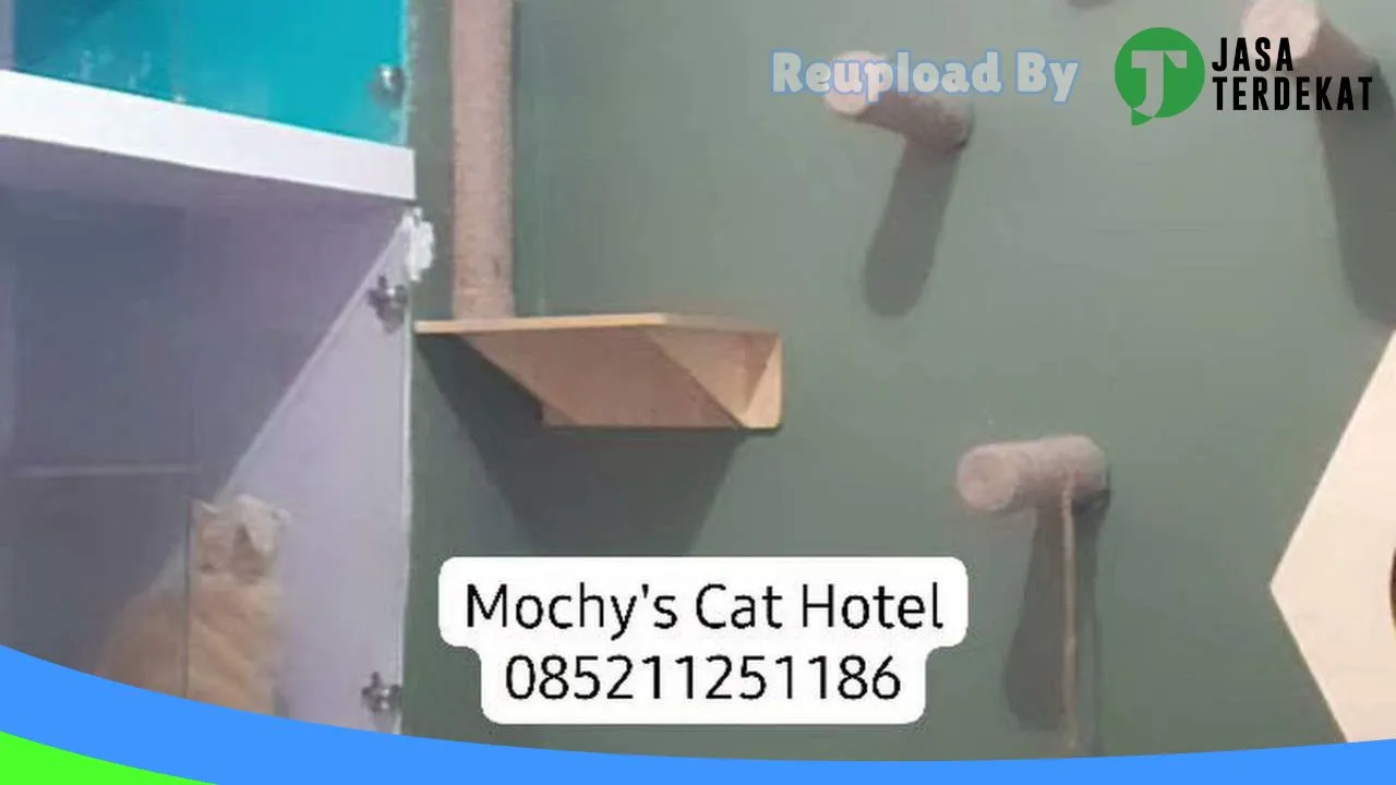 Gambar Mochy Petshop Betoambari di Buton, Sulawesi Tenggara ke 1