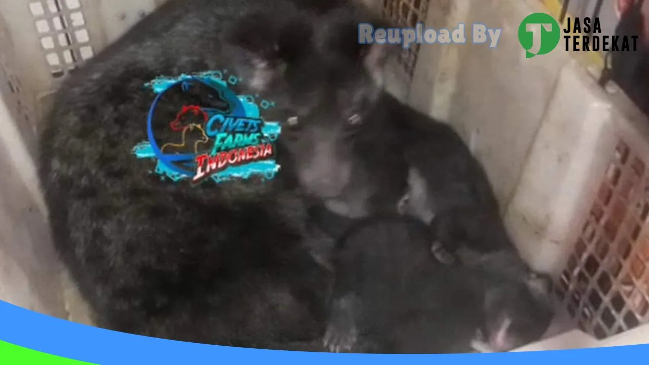 Gambar Civets Farms Indonesia di Probolinggo, Jawa Timur ke 1