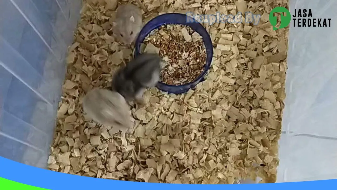 Gambar ALASKA PETSHOP di Tanjungbalai, Sumatera Utara ke 2