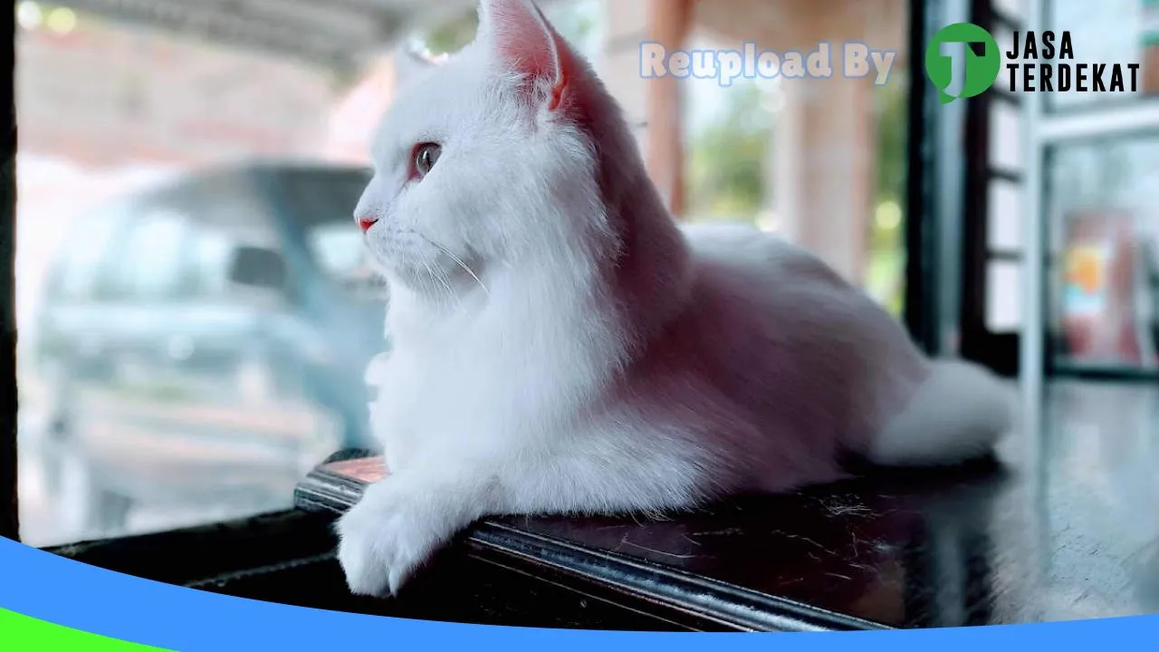 Gambar Rumah Satwa – Pet Shop & Clinic drh. Rahma Yetni di Tanah Datar, Sumatera Barat ke 2