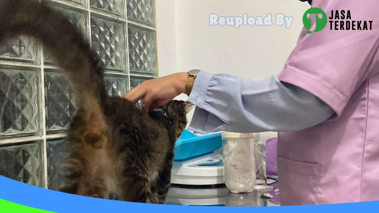 Gambar Jakarta Petshop di Jakarta Pusat, DKI Jakarta ke 2