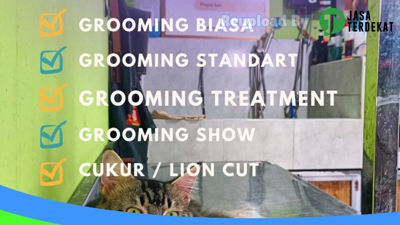 Gambar BUBUKU GROOMING PILIHAN di Kotawaringin Timur, Kalimantan Tengah ke 2