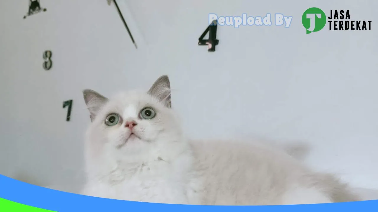 Gambar Ratu Cathouse Sukabumi di Sukabumi, Jawa Barat ke 2