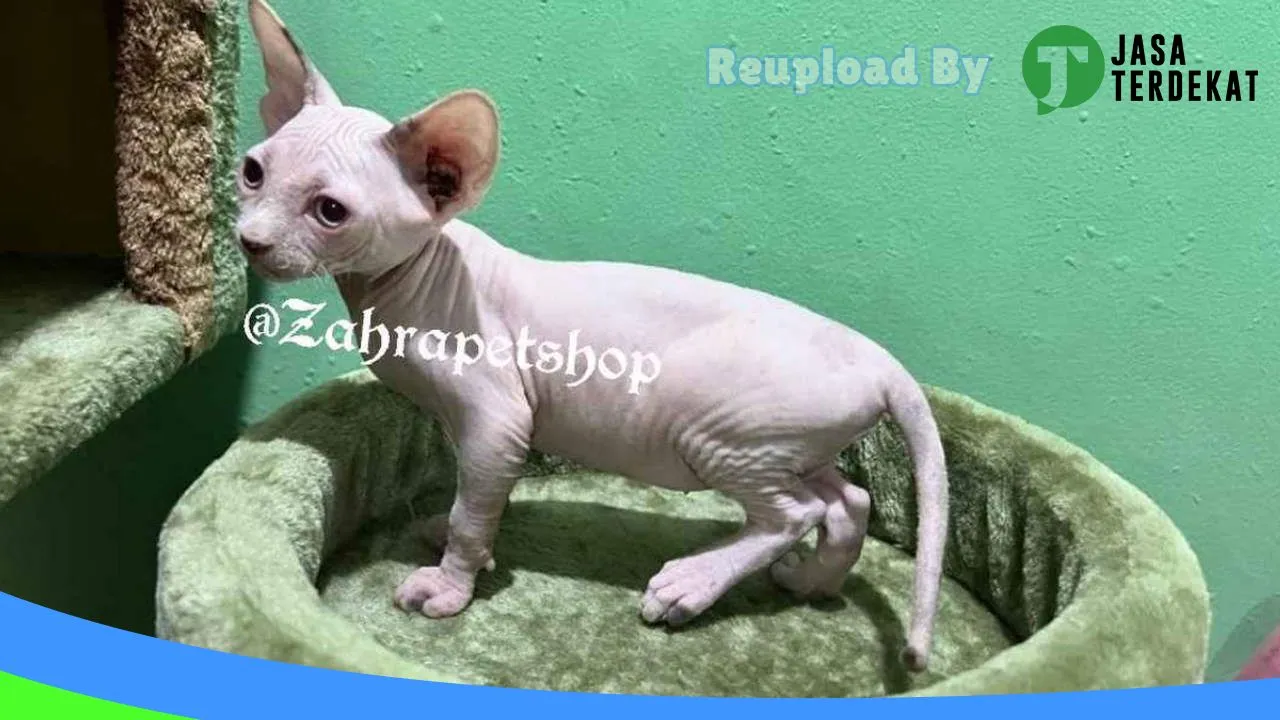 Gambar Zahra Pet Shop & Grooming di Sukabumi, Jawa Barat ke 2