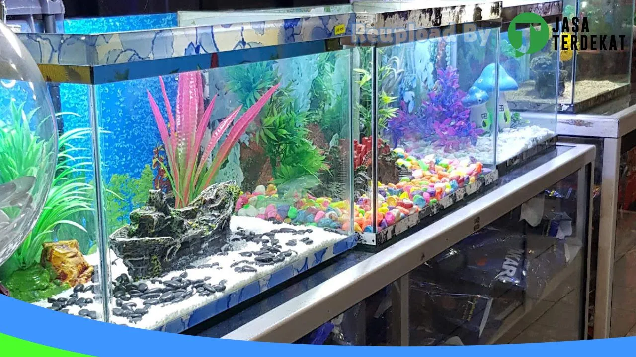 Gambar Toko Aneka Jaya ( Pet Shop dan Aquarium) di Seram Bagian Barat, Maluku ke 2