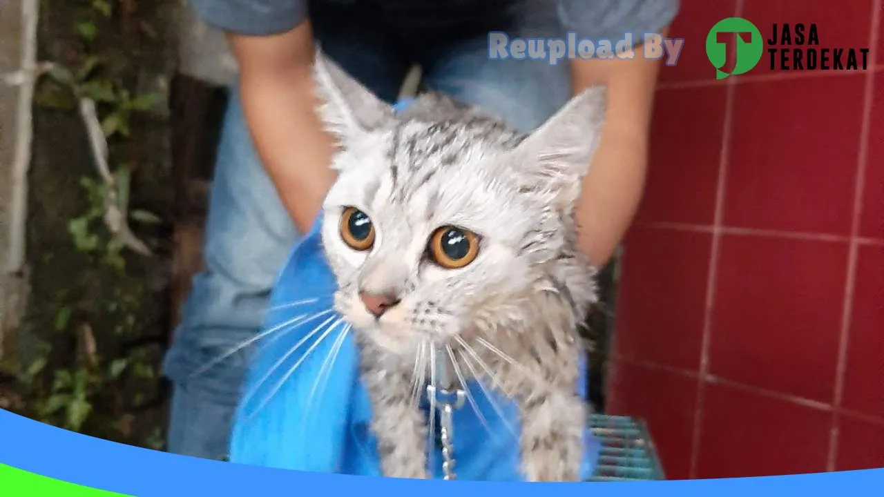 Gambar Cline Petshop & Grooming Hewan Purwakarta di Purwakarta, Jawa Barat ke 3