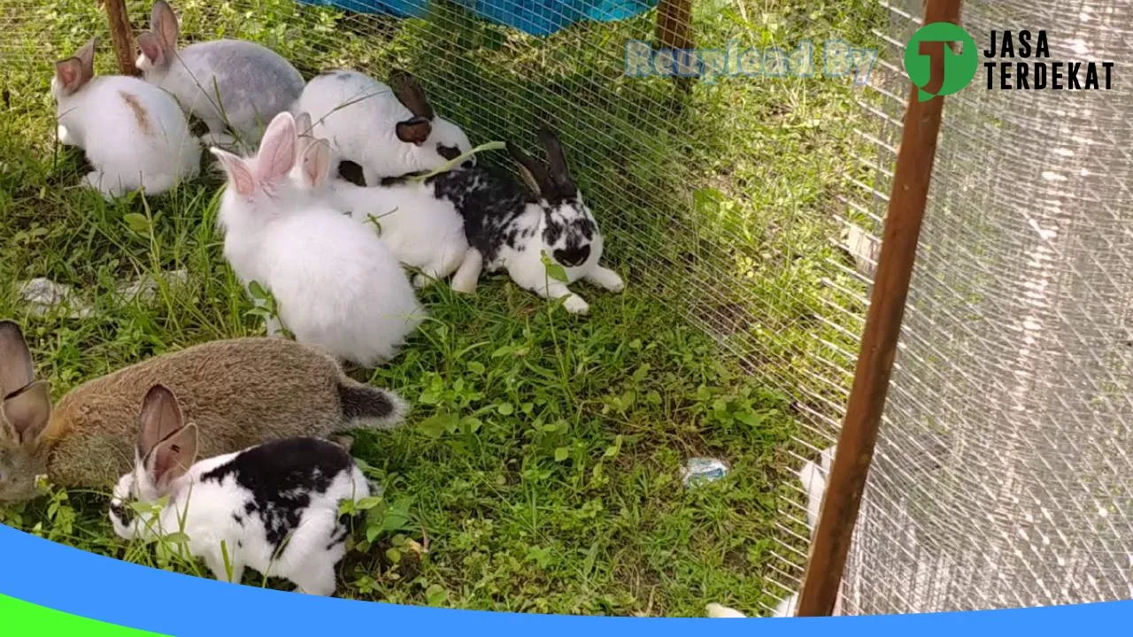 Gambar Kandang Peternakan Kelinci di Batu Bara, Sumatera Utara ke 1