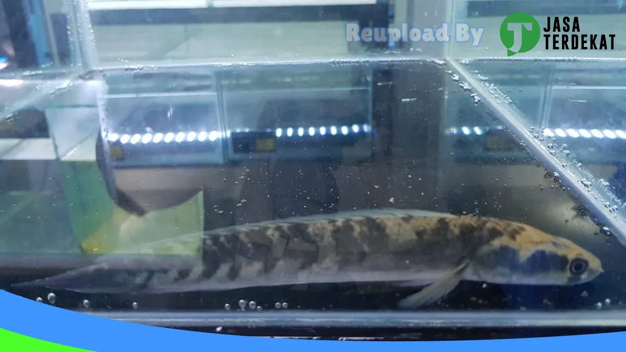 Gambar Infinity Exotic di Banjarnegara, Jawa Tengah ke 2