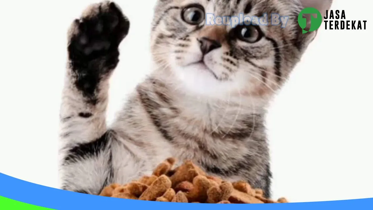 Gambar Terminal PetShop Pangkep di Pangkajene dan Kepulauan, Sulawesi Selatan ke 1