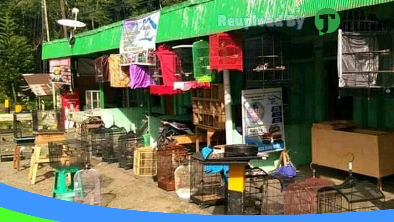 Gambar Kios burung nurrohman labib di Paser, Kalimantan Timur ke 2
