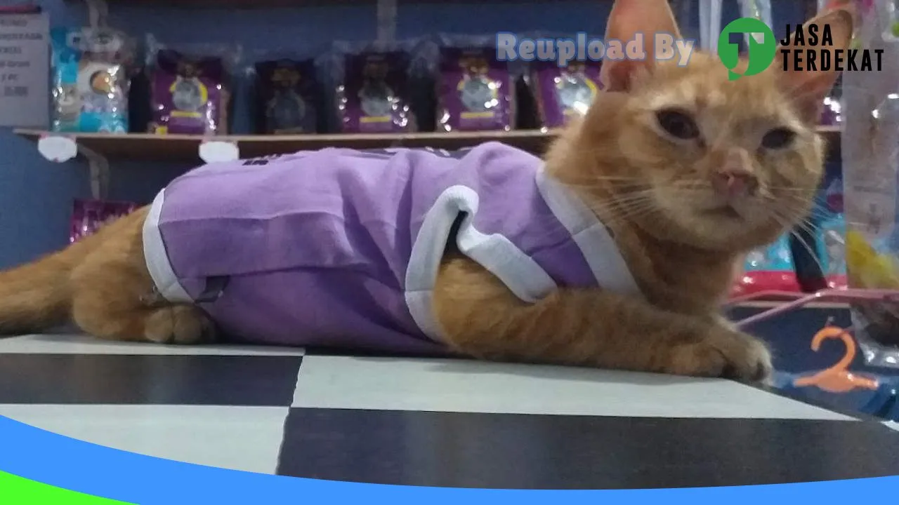 Gambar Mega Petshop di Muaro Jambi, Jambi ke 3