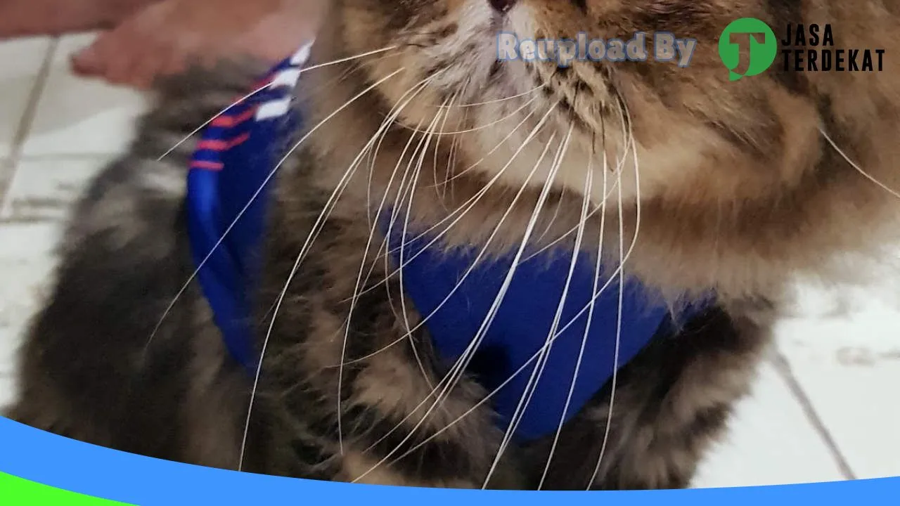 Gambar Lucky Star Petshop di Bandar Lampung, Lampung ke 3