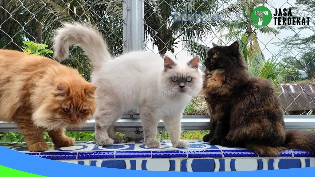 Gambar Aditya Pet Shop di Bengkulu Utara, Bengkulu ke 2