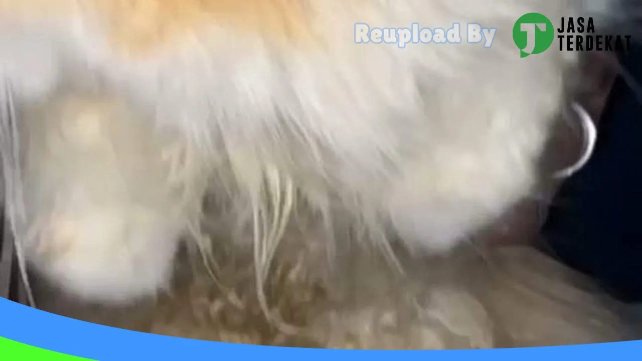 Gambar Zhaza PetShop Kotabaru di Muaro Jambi, Jambi ke 3