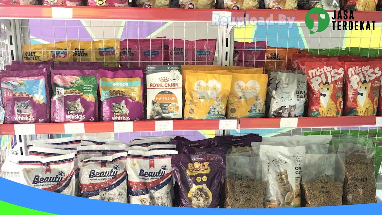 Gambar CHIKO PETSHOP LAMPUNG TENGAH di Lampung Tengah, Lampung ke 3