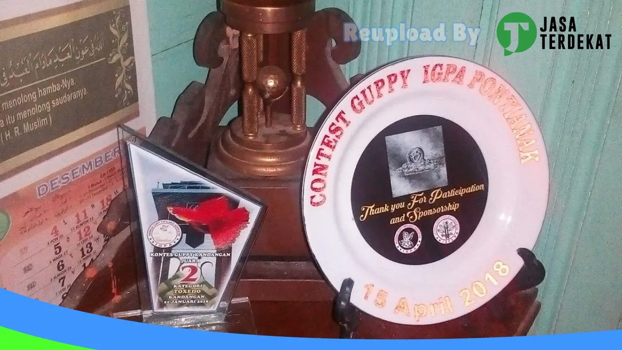 Gambar Ifull Farm Guppy,Betta &Turtle di Tapin, Kalimantan Selatan ke 5