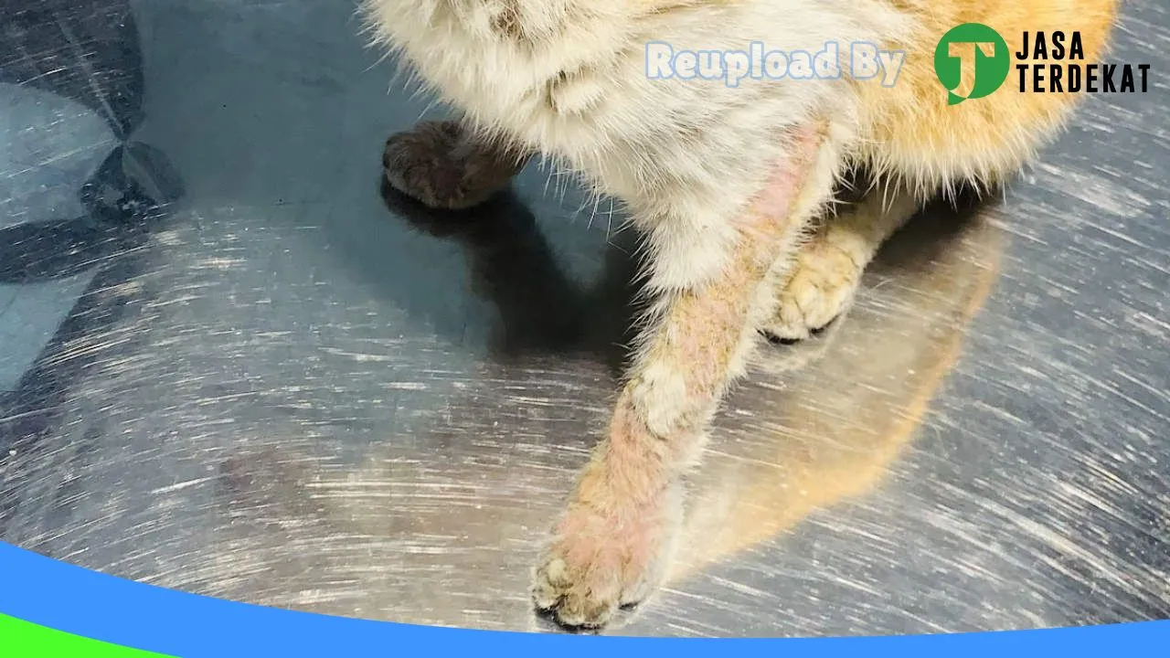 Gambar Alba pet shop & care / Dokter Hewan di Lampung Tengah, Lampung ke 4