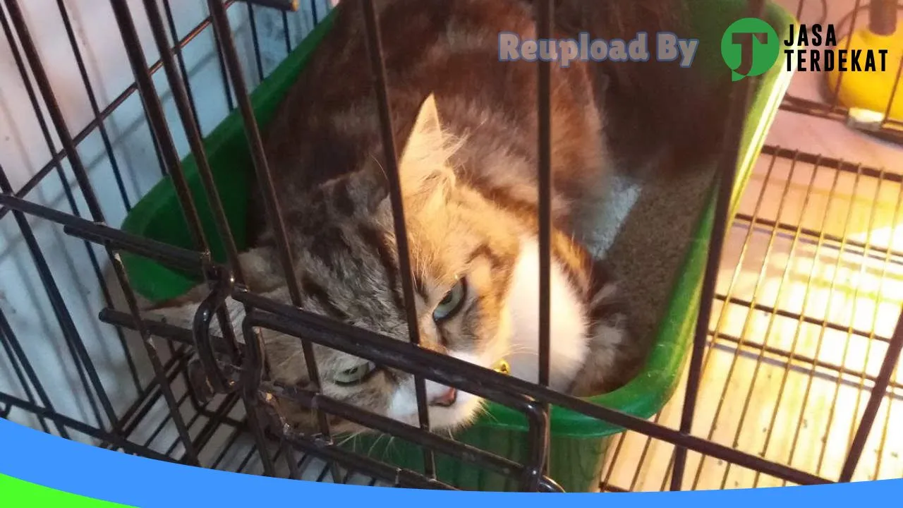 Gambar AVA Petshop & Petcare di Gunung Kidul, DI Yogyakarta ke 1