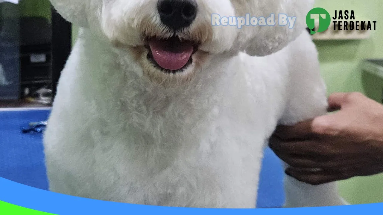 Gambar ABCDE Doggie Kingdom di Pontianak, Kalimantan Barat ke 3