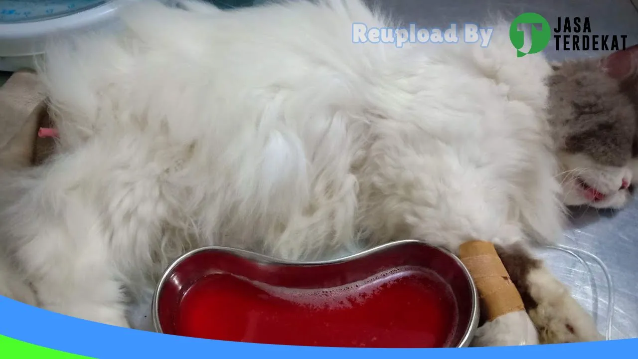 Gambar Fauna Petshop drh. Wiwik Idayanti di Jombang, Jawa Timur ke 1