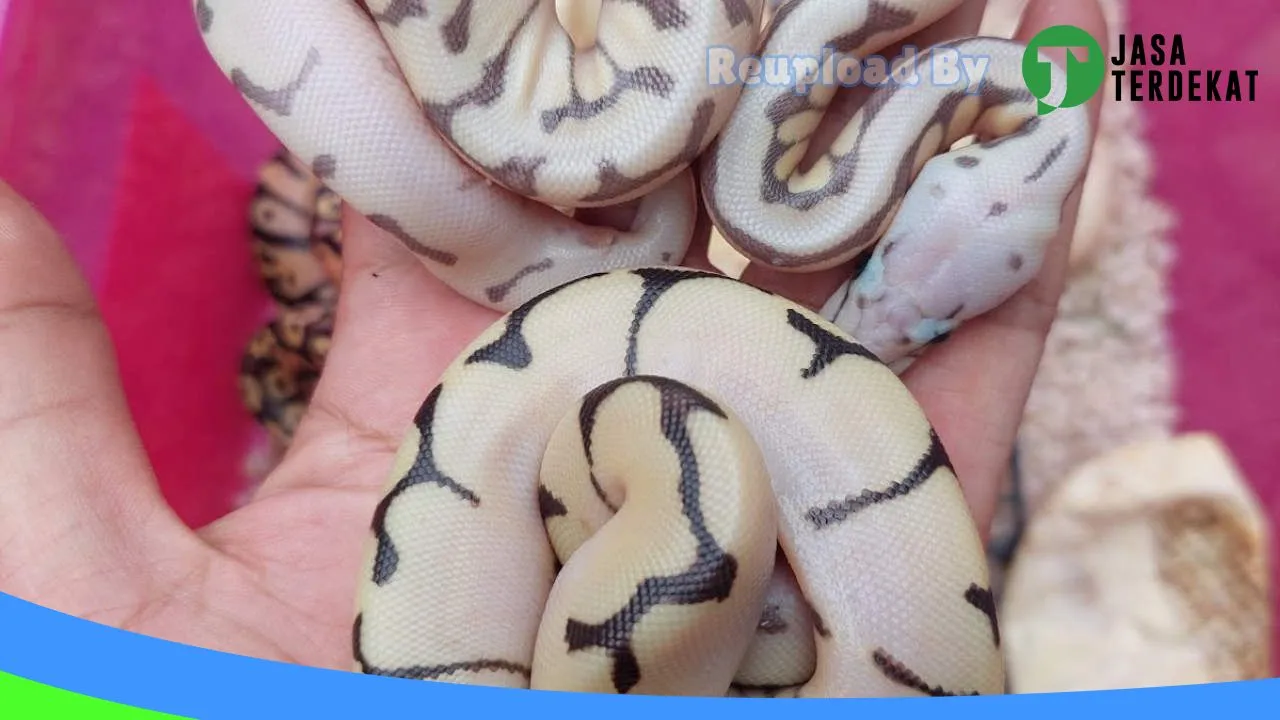 Gambar Zu Reptile Kobar di Kotawaringin Barat, Kalimantan Tengah ke 1