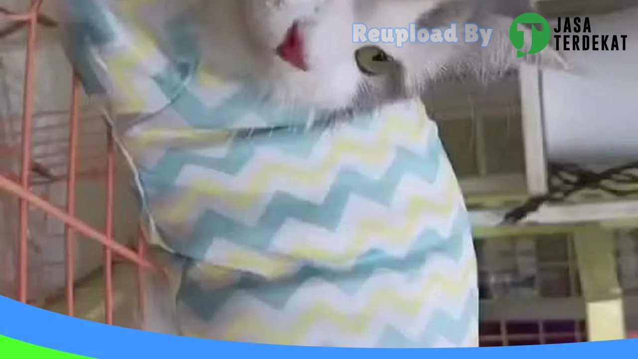 Gambar Bee Boo Petshop di Lampung Tengah, Lampung ke 1