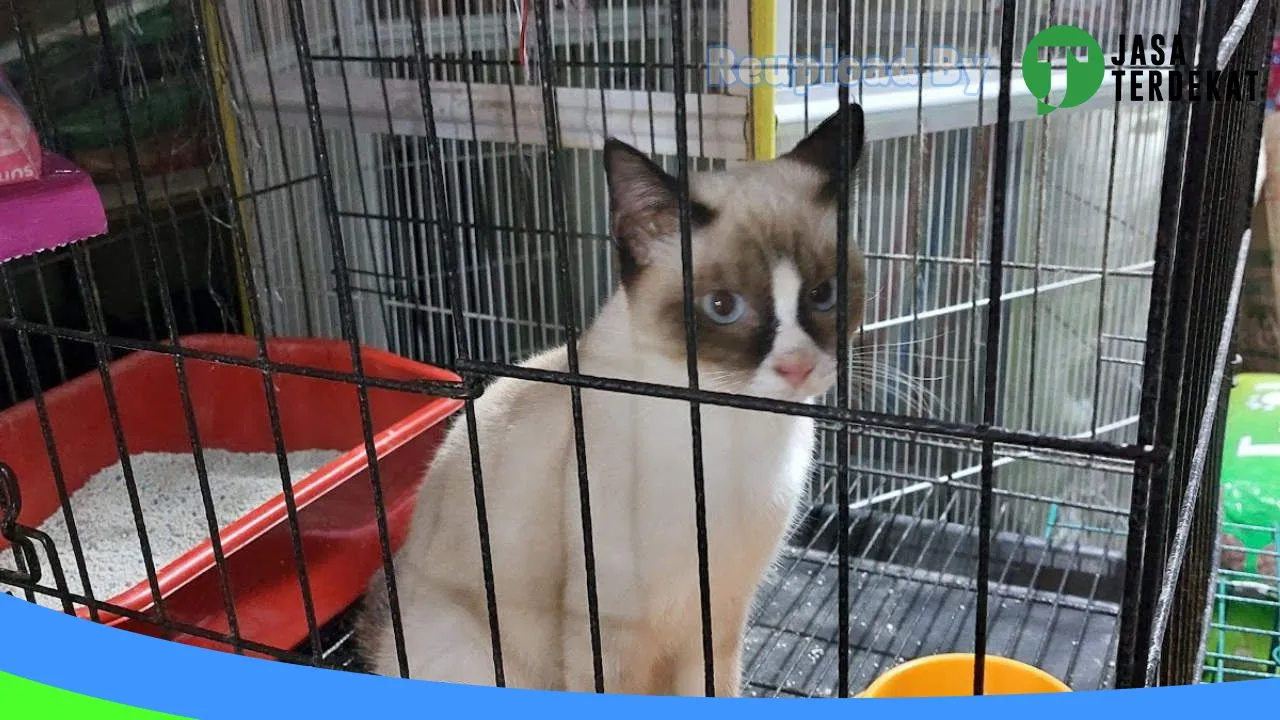 Gambar Toko Yuda Pakan Ternak (Grosir batulicin) di Tanah Bumbu, Kalimantan Selatan ke 1