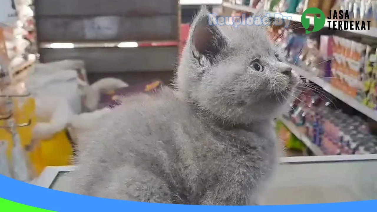 Gambar Omah Kucing Madiun di Kota Madiun, Jawa Timur ke 2