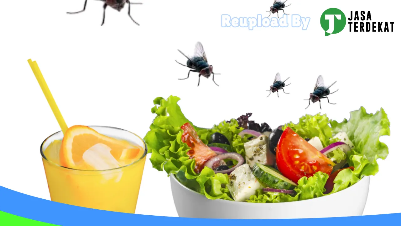 Gambar Pest Terminator Semarang di Semarang, Jawa Tengah ke 1