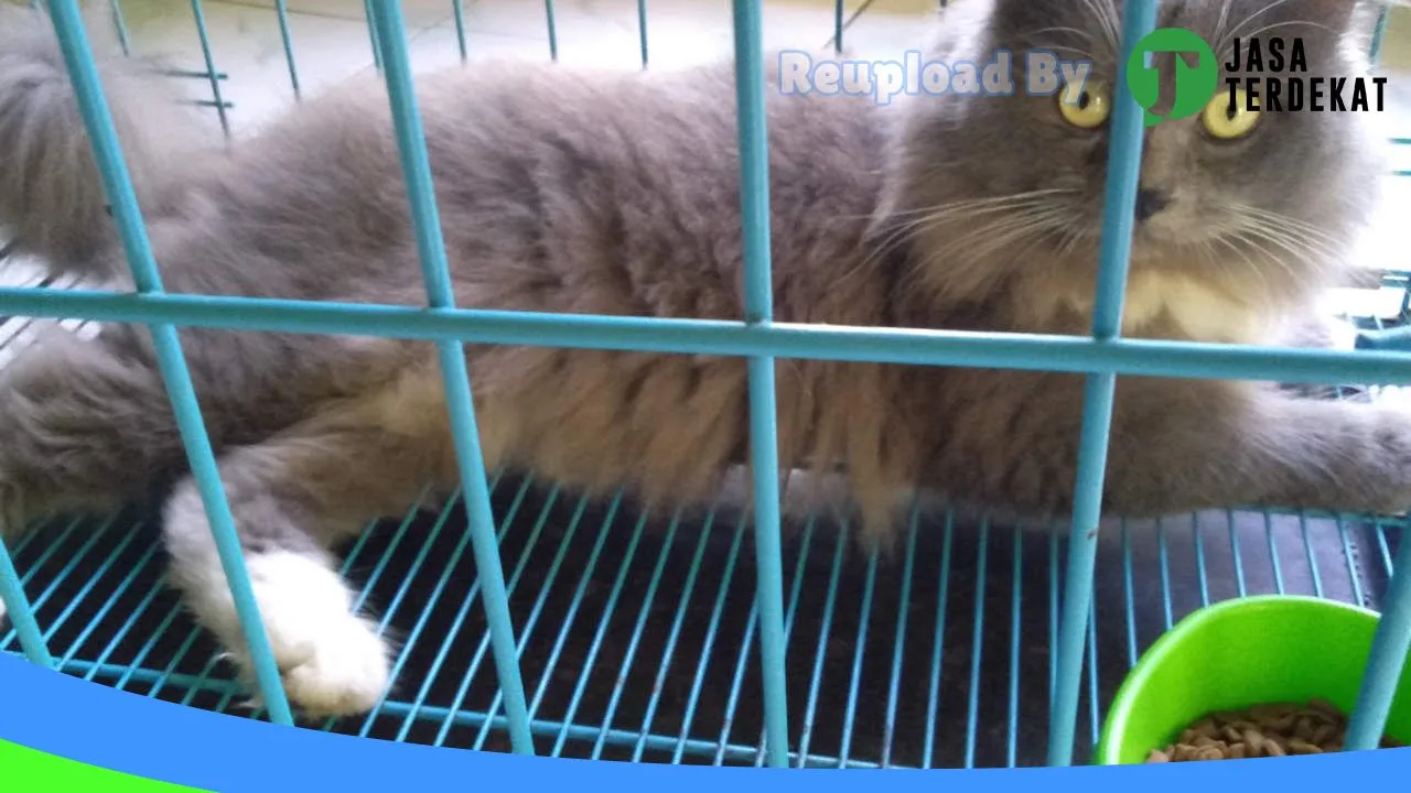 Gambar Margakaya Petshop di Pringsewu, Lampung ke 3