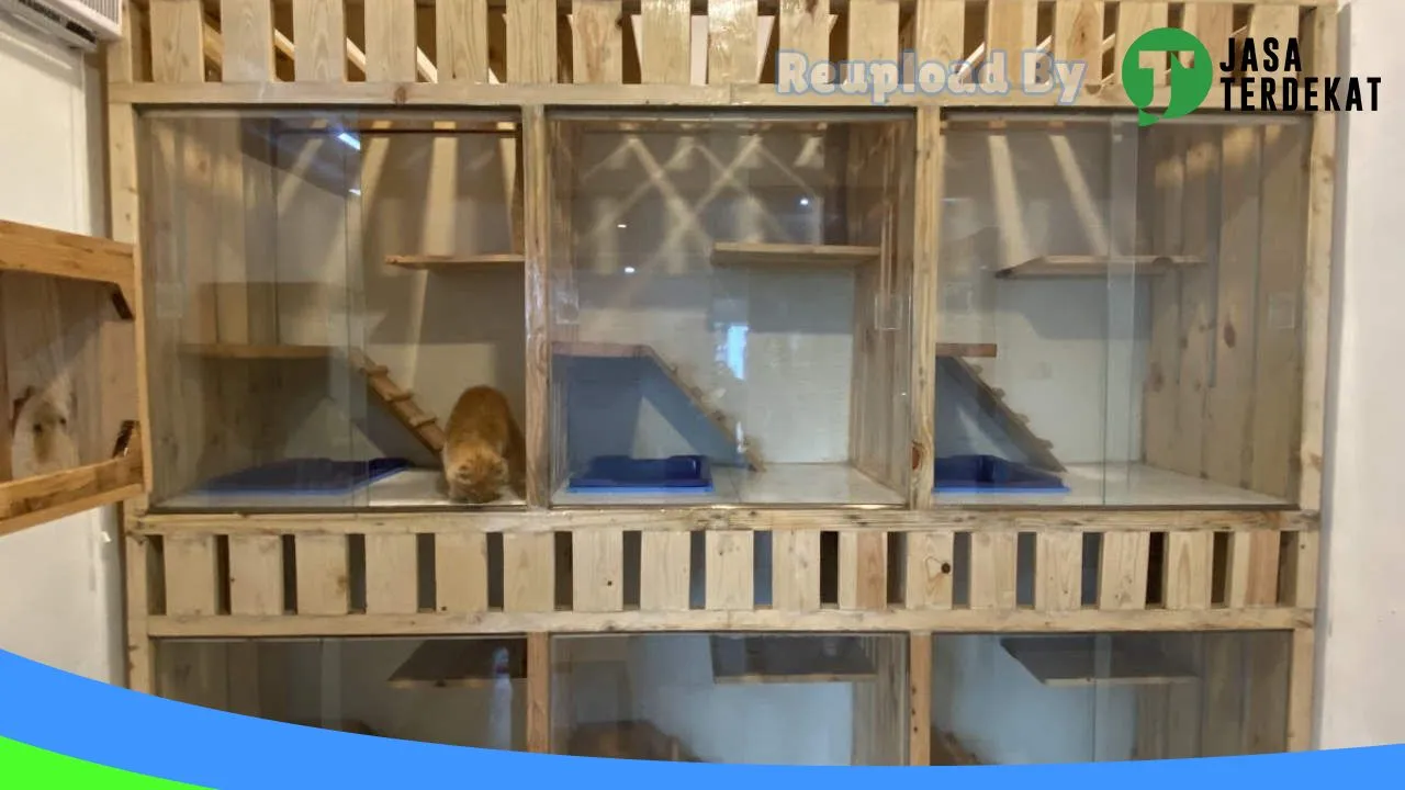 Gambar Mangadut Petshop di Lombok Barat, Nusa Tenggara Barat ke 2