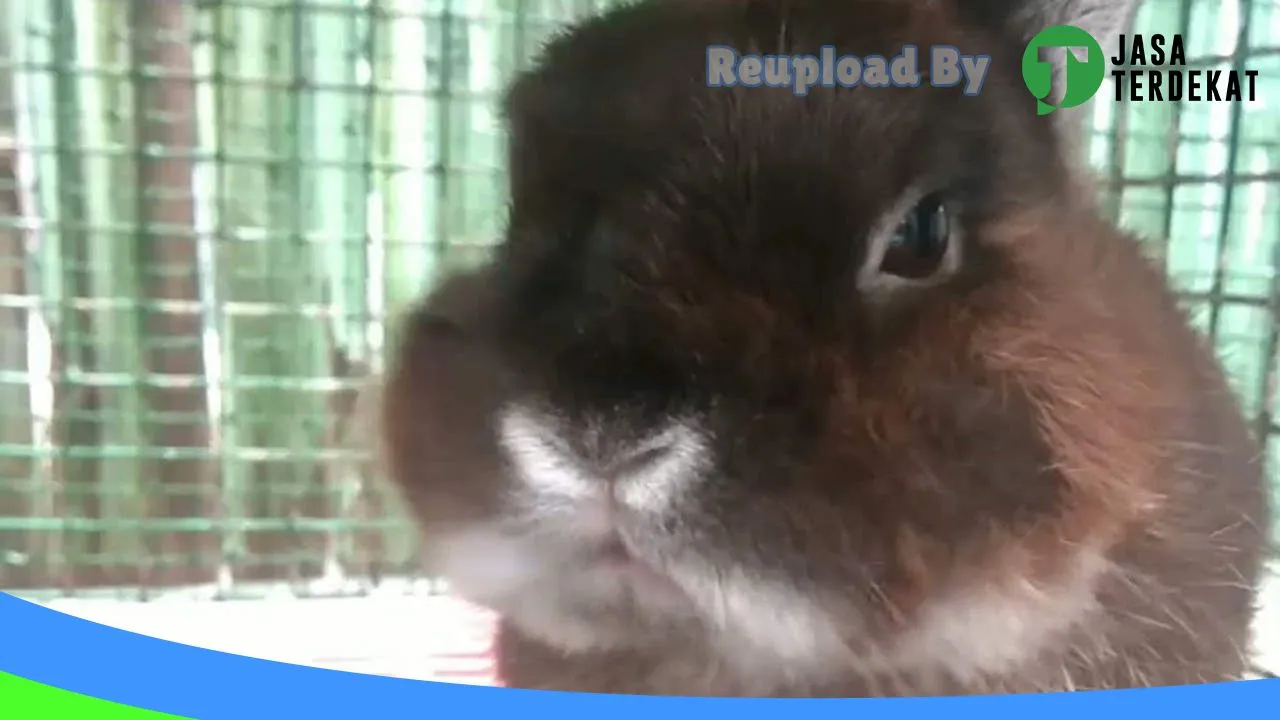 Gambar Hunny Bunny di Bandar Lampung, Lampung ke 1