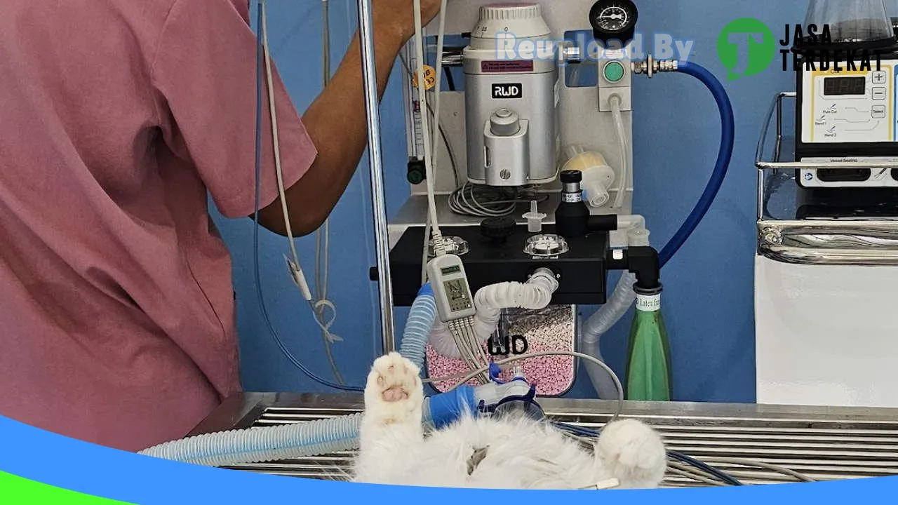 Gambar WijayaVet di Jayapura, Papua ke 3